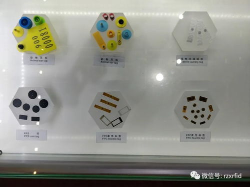 聚焦iote 2020 融智兴科技第十四届国际物联网展 精彩回顾